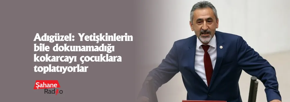 Adıgüzel: Yetişkinlerin bile dokunamadığı kokarcayı çocuklara toplatıyorlar