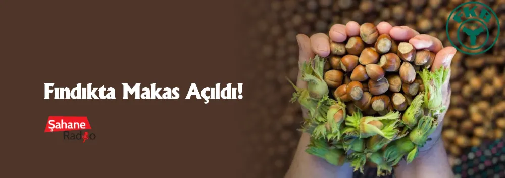 Fındıkta Makas Açıldı!