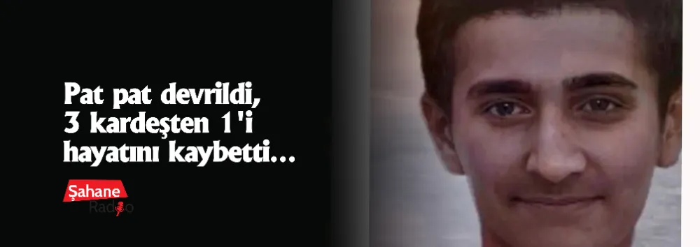 Pat pat devrildi, 3 kardeşten 1