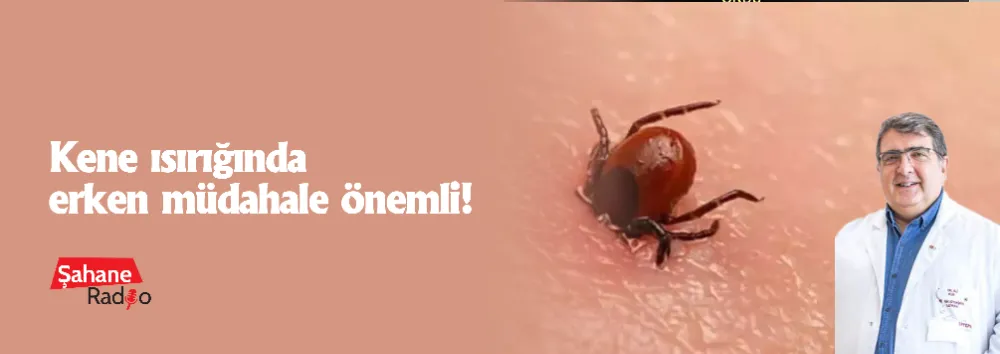 Kene ısırığında erken müdahale önemli!