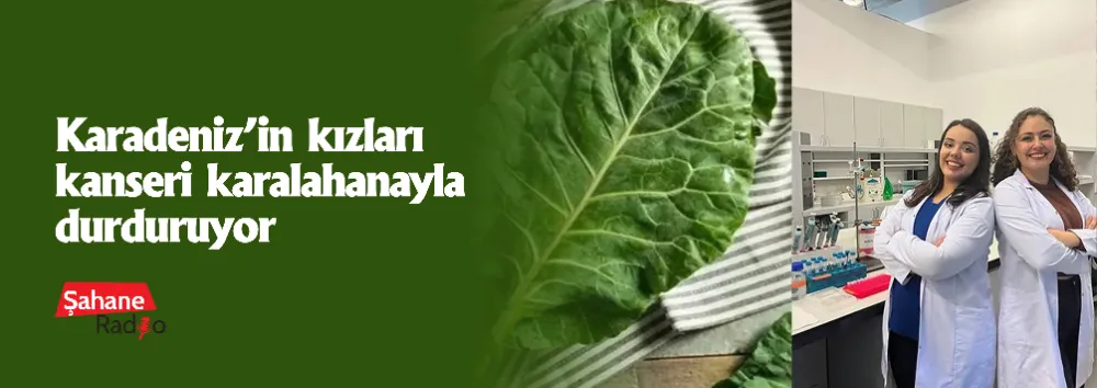 Karadeniz’in kızları kanseri karalahanayla durduruyor