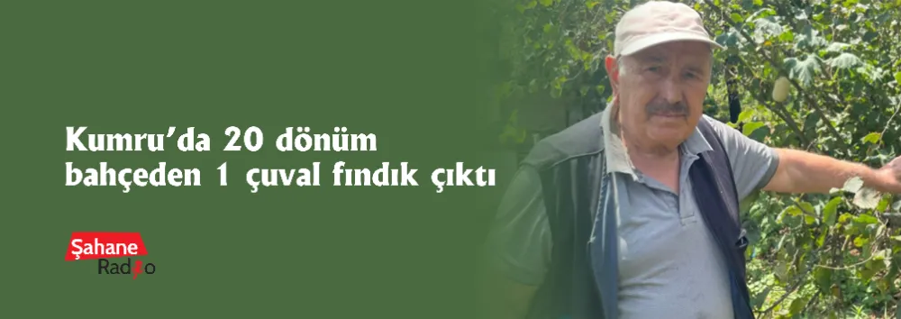 Kumru’da 20 dönüm bahçeden 1 çuval fındık çıktı