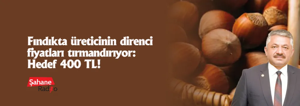 Fındıkta üreticinin direnci fiyatları tırmandırıyor: Hedef 400 TL!